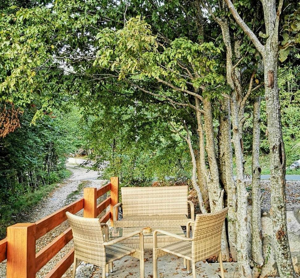 Oasis Of Peace Διαμέρισμα Τσέτινιε Εξωτερικό φωτογραφία